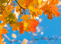 Clear Blue Sky with Fall Leaves Thanksgiving Card