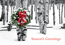 Birch Grove Holiday Cards