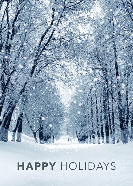 Snowy Winter Path Holiday Greeting Card